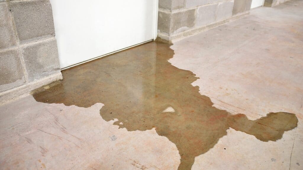 Floor Damaged by Water That Needs Restoration